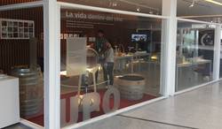 Ventana a la Ciencia: La vida dentro del vino